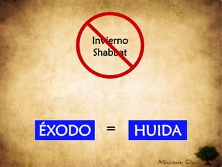 Apocalipsis 11:3-43 Por mi parte, yo encargaré a mis dos testigosque, vestidos de luto, profeticen durante mil doscientos sesenta días. 4Estos dos testigos son los dos olivos y los dos candelabros que permanecen delante del Yahweh de la tierra. (NVI) [Zacarías 4:11-13]Suspensión Sacrificio DiarioYahshua Descansa1335 DÍAS1290 DÍAS45 DÍASHorrible SacrilegioFin Gran Tribulación1260 DÍAS30 DÍAS2da.VenidaSustentación de la Mujer (ISRAEL)DiluvioHuidaDos Testigos20132016InviernoShabbat