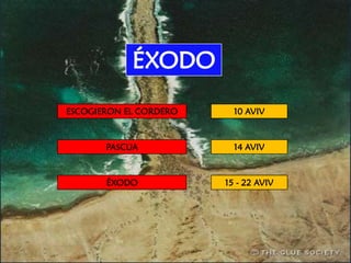 ¡NADIE, NI SIQUIERA LOS ÁNGELES DEL CIELO, SABEN EL DÍA Y LA HORA DEL REGRESO DEL MESÍAS!¿TENDRÁ UN FUNDAMENTO BÍBLICO ESTA DECLARACIÓN?