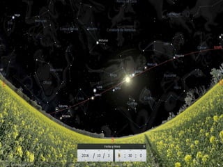 Mateo 24:29-3029 Inmediatamente después de la tribulación de aquellos días… 30La señal del Hijo del hombre aparecerá en el cielo, y se angustiarán todas las razas de la tierra. Verán al Hijo del hombre venir sobre las nubes del cielo con poder y gran gloria. (NVI)SEÑAL EN EL CIELO