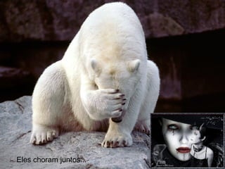 Eles choram juntos... 