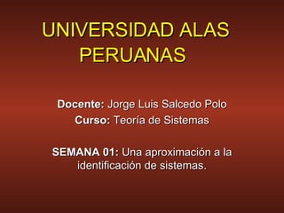 UNIVERSIDAD ALAS PERUANAS   Docente:  Jorge Luis Salcedo Polo Curso:  Teoría de Sistemas SEMANA 01:  Una aproximación a la identificación de sistemas. 