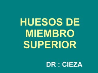 HUESOS DE MIEMBRO SUPERIOR DR : CIEZA   