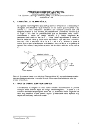 1
PATRONES DE RESPUESTA ESPECTRAL
Jaime Hernández P. y Daniel Montaner F.
Lab. Geomática y Ecología del Paisaje (GEP) – Facultad de Ciencias Forestales
Universidad de Chile
1. ENERGÍA ELECTROMAGNÉTICA
El espectro electromagnético (EE) es flujo continuo energía que se desplaza por
el espacio o la atmósfera y que interactúa con los objetos que encuentra en su
camino. La Teoría Ondulatoria1
establece que cualquier partícula con una
temperatura sobre el cero absoluto, en grados Kelvin, genera una vibración que
da lugar a una serie de perturbaciones que se desplazan como “ondas”
sinusoidales a través del campo eléctrico E y campo magnético M,
perpendiculares entre si (FIGURA 1). Estas ondas representan la radiación
emitida desde la fuente y viajan hacia el infinito a una velocidad constante,
conocida como la velocidad de la luz (≈ 3 x 108 m s-1
). La distancia entre la
cresta de una onda y la siguiente es la longitud de onda (λ) de la radiación y el
número de crestas por segundo que pasan por un mismo punto es su frecuencia
(f).
Figura 1: Se muestran los vectores eléctricos (E) y magnéticos (M), perpendiculares entre ellos,
de una onda electromagnética. La longitud de onda (λ) corresponde a la distancia entre dos
crestas consecutivas.
1.1 TIPOS DE ENERGÍA ELECTROMAGNÉTICA
Considerando la longitud de onda como variable discriminadora es posible
distinguir entre distintos tipos de energía electromagnética. La figura 2 y el
cuadro 1 describen las principales zonas del EE, abarcando desde longitudes de
onda muy pequeñas (Rayos gamma, rayos X y ultravioleta) hasta aquellas muy
largas (microondas y comunicaciones).
1
Cristian Huygens, 1678.
 