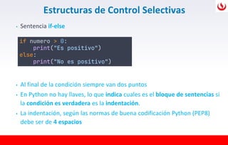 Comprehensive Guide to Python Control Structures, Functions, and ...