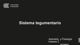 Sistema tegumentario
Anatomía y Fisiología
Humana I
ENFERMERIA
 