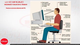 SEGURIDAD Y SALUD EN EL TRABAJO
Postura correcta delante del PC:
 