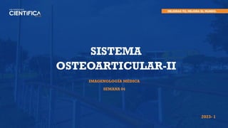 IMAGENOLOGÍA MÉDICA
SEMANA 04
SISTEMA
OSTEOARTICULAR-II
2023- 1
 