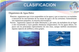 CLASIFICACION
Organismos de Agua Dulce
 Plancton. organismos que viven suspendidos en las aguas y que se mueven o se trasladan
   a merced de los movimientos de las masas de agua o de las corrientes. Generalmente
   son organismos pequeños, la mayoría microscópicos.
 Necton. organismos capaces de nadar libremente y, por tanto, de trasladarse de un lugar
   a otro recorriendo a veces grandes distancias (migraciones). En las aguas dulces, los
   peces son los principales representantes de esta clase, aunque también encontramos
   algunas especies de anfibios y otros grupos.
 