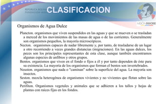 CLASIFICACION
Organismos de Agua Dulce
 Plancton. organismos que viven suspendidos en las aguas y que se mueven o se trasladan
   a merced de los movimientos de las masas de agua o de las corrientes. Generalmente
   son organismos pequeños, la mayoría microscópicos.
 Necton. organismos capaces de nadar libremente y, por tanto, de trasladarse de un lugar
   a otro recorriendo a veces grandes distancias (migraciones). En las aguas dulces, los
   peces son los principales representantes de esta clase, aunque también encontramos
   algunas especies de anfibios y otros grupos.
 Bentos. organismos que viven en el fondo o fijos a él y por tanto dependen de éste para
   su existencia. La mayoría de los organismos que forman el bentos son invertebrados.
 Neuston. organismos que nada o "caminan" sobre la superficie del agua. La mayoría son
   insectos.
 Seston. mezcla heterogénea de organismos vivientes y no vivientes que flotan sobre las
   aguas.
 Perifiton. Organismos vegetales y animales que se adhieren a los tallos y hojas de
   plantas con raíces fijas en los fondos.
 