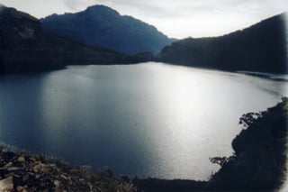 Clasificación Indicadores Biológicos