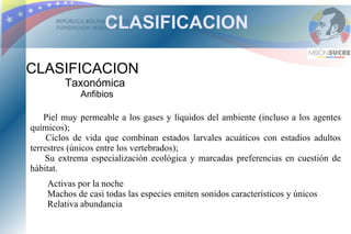 CLASIFICACION

CLASIFICACION
         Taxonómica
             Anfibios

    Piel muy permeable a los gases y líquidos del ambiente (incluso a los agentes
químicos);
     Ciclos de vida que combinan estados larvales acuáticos con estadios adultos
terrestres (únicos entre los vertebrados);
    Su extrema especialización ecológica y marcadas preferencias en cuestión de
hábitat.
    Activas por la noche
    Machos de casi todas las especies emiten sonidos característicos y únicos
    Relativa abundancia
 