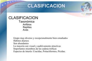 CLASIFICACION

CLASIFICACION
       Taxonómica
           Anfibios
           Reptiles
           Aves


  Grupo muy diverso y excepcionalmente bien estudiados
  Hábitos diurnos
  Son abundantes
  La mayoría son visual y auditivamente atractivas
  Importantes miembros de las cadena tróficas
  Especies de interés: Cracidae, Psitaciiformes, Picidae.
 