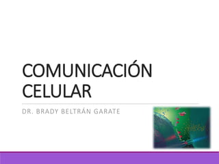 COMUNICACIÓN
CELULAR
DR. BRADY BELTRÁN GARATE
 