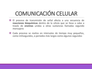 COMUNICACIÓN CELULAR
 El proceso de transmisión de señal afecta a una secuencia de
reacciones bioquímicas dentro de la célula que se lleva a cabo a
través de enzimas unidas a otras sustancias llamadas segundo
mensajero
 Cada proceso se realiza en intervalos de tiempo muy pequeños,
como milisegundos, o periodos más largos como algunos segundos
 