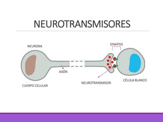 NEUROTRANSMISORES
NEURONA
CUERPO CELULAR
AXÓN
NEUROTRANSMISOR
CÉLULA BLANCO
SINAPSIS
 