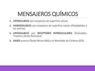 MENSAJEROS QUÍMICOS
1. LIPOSOLUBLES con receptores de superficie celular
2. HIDROSOLUBLES con receptores de superficie celular (Polipéptidos y
las aminas)
3. LIPOSOLUBLES con RECEPTORES INTRACELULARES (Esteroides,
Tiroxina y Ácido Retinoico)
4. GASES como el Óxido Nítrico (NO) y el Monóxido de Carbono (CO)
 