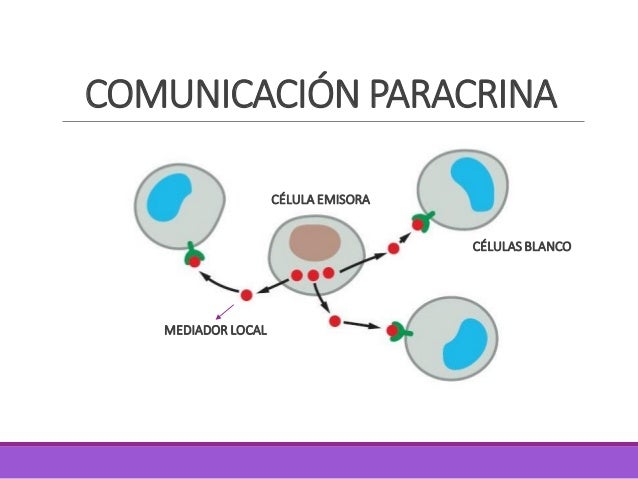 Semana 05 celular)