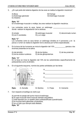 UNMSM-CENTRO PREUNIVERSITARIO Ciclo 2012-II
Semana Nº 6 Pág. 98
3. ¿En qué parte del sistema digestivo de las aves se realiza la digestión mecánica?
A) Boca B) Faringe
C) Estómago glandular D) Estómago muscular
E) Intestino
Rpta. “D”
En el estómago muscular o molleja, las aves realizan la digestión mecánica.
4. Los rumiantes como la vaca, tienen un estómago _______________________,
donde realizan la degradación de la celulosa.
A) simple B) estómago muscular C) denominado rumen
D) con 5 cavidades E) y un ciego
Rpta “C”
Los rumiantes como la vaca tienen un estómago dividido en 4 porciones y en la
panza o rumen se realiza la digestión de la celulosa por la flora especializada.
5. En la boca de los humanos se inicia la digestión del 10% ___________ gracias a las
enzimas presentes en la saliva.
A) del almidón B) de los lípidos C) de las proteínas
D) de los ácidos nucleicos E) de las glicoproteínas
Rpta. “A”
En la boca se inicia la digestión del 10% de los carbohidratos específicamente de
polisacáridos como el almidón.
6. En el siguiente esquema, nomine las partes señaladas por las letras
A._____________________________
B.______________________________
C.______________________________
D.______________________________
Rpta: A. Esmalte B. Dentina C. Pulpa D. Cemento
7. Con respecto al esófago es cierto que
A) permite el pasaje del quimo hacia el estómago.
B) la capa muscular tiene músculo estriado esquelético.
C) está tapizado por un epitelio plano poliestratificado queratinizado.
D) la mucosa tiene glándulas unicelulares.
E) es un tubo que siempre está dilatado.
Rpta. “B”
 