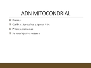 ADN MITOCONDRIAL
 Circular.
 Codifica 13 proteínas y algunos ARN.
 Presenta ribosomas.
 Se hereda por vía materna.
 