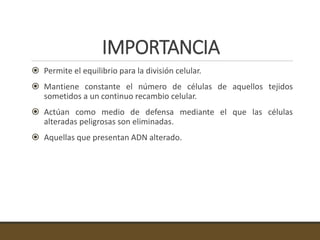 IMPORTANCIA
 Permite el equilibrio para la división celular.
 Mantiene constante el número de células de aquellos tejidos
sometidos a un continuo recambio celular.
 Actúan como medio de defensa mediante el que las células
alteradas peligrosas son eliminadas.
 Aquellas que presentan ADN alterado.
 