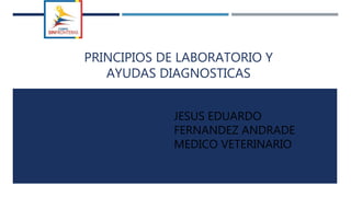 PRINCIPIOS DE LABORATORIO Y
AYUDAS DIAGNOSTICAS
JESUS EDUARDO
FERNANDEZ ANDRADE
MEDICO VETERINARIO
 
