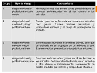 
Grupo Tipo de riesgo Característica
1 riesgo individual y
poblacional escaso
o nulo
Microorganismos que tienen pocas probabilidades de
provocar enfermedades en el ser humano o los
animales.
2 riesgo individual
moderado, riesgo
poblacional bajo
Pueden provocar enfermedades humanas o animales
poco graves. Existen medidas preventivas y
terapéuticas eﬁcaces y el riesgo de propagación es
limitado.
3 riesgo individual
elevado, riesgo
poblacional bajo
Enfermedades humanas o animales graves, pero que
de ordinario no se propagan de un individuo a otro.
Existen medidas preventivas y terapéuticas eﬁcaces.
4 riesgo individual y
poblacional elevado
Provocan enfermedades graves en el ser humano o
los animales. Se transmiten fácilmente de un individuo
a otro, directa o indirectamente. Normalmente no
existen medidas preventivas y terapéuticas eﬁcaces.
 