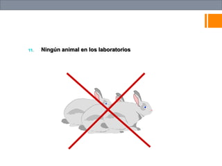 11. Ningún animal en los laboratorios
 