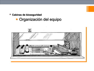  Cabinas de bioseguridad
 Organización del equipo
 
