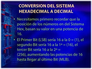  CONVERSION DEL SISTEMA HEXADECIMAL A DECIMALNecesitamos primero recordar que la posición de los números en del Sistema Hex, basan su valor en una potencia de 16. El Primer Bit (LSB) sería 16 a la 0 = (1), el segundo Bit sería 16 a la 1ª = (16), el tercer Bit sería 16 a la 2ª = (256), aumentando las potencias de 16 hasta llegar al último Bit (MLB). 
