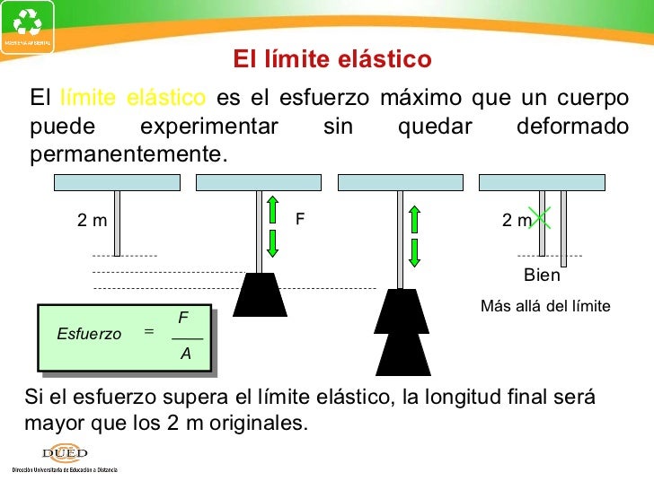 Semana 1 elasticidad Semana 1 elasticidad
