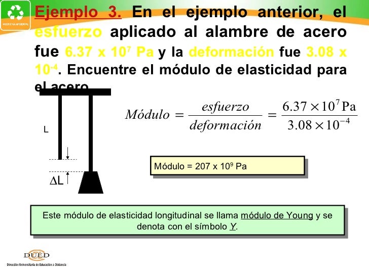 Semana 1 elasticidad Semana 1 elasticidad