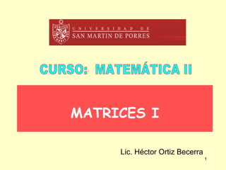 MATRICES I CURSO:  MATEMÁTICA II Lic. Héctor Ortiz Becerra 