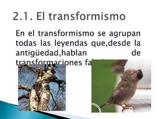 En el transformismo se agrupan todas las leyendas que,desde la antigüedad,hablan de transformaciones fabulosas. 