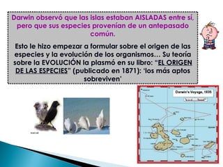 Darwin observó que las islas estaban AISLADAS entre sí, pero que sus especies provenían de un antepasado común. Esto le hizo empezar a formular sobre el origen de las especies y la evolución de los organismos… Su teoría sobre la EVOLUCIÓN la plasmó en su libro: “ EL ORIGEN DE LAS ESPECIES ” (publicado en 1871): ‘los más aptos sobreviven’ 
