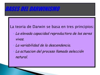La teoria de Darwin se basa en tres principios: La elevada capacidad reproductora de los seres vivos. La variabilidad de la descendencia. La actuacion del proceso llamado selección natural. 