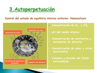 Control del estado de equilibrio interno-externo: Homeostasis  Concentración de O 2   y CO 2 pH del medio interno Concentración de nutrientes y sustancias de desecho Concentración de sales y otros electrolitos Volumen y presión del fluido extracelular. 