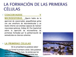 COACERVADOS Y MICROESFERAS  Oparin habla de la aparicion de coacervados, pequeñísimas gotas con una envoltura de macromoleculas y un medio interno con enzimas capaces de realizar reacciones químicas. Sidney W. Fox hipotetizó sobre la aparición de microesferas de proteinas formadas por la polimerización de aminoácidos en charcas calientes.   LA PRIMERAS CELULAS   En la actualidad no podemos saber como se formó la primera celula. Solo podemos suponer que aspecto tuvo. Se piensa que los primeros organismos eran procariotas muy parecidos a las cianobacterias filamentosas, como las que fabrican los actuales estromatolitos. 