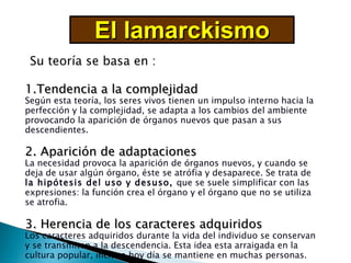 1.Tendencia a la complejidad Según esta teoría, los seres vivos tienen un impulso interno hacia la perfección y la complejidad, se adapta a los cambios del ambiente provocando la aparición de órganos nuevos que pasan a sus descendientes.  2. Aparición de adaptaciones La necesidad provoca la aparición de órganos nuevos, y cuando se deja de usar algún órgano, éste se atrófia y desaparece. Se trata de  la hipótesis del uso y desuso,  que se suele simplificar con las expresiones: la función crea el órgano y el órgano que no se utiliza se atrofia . 3. Herencia de los caracteres adquiridos Los caracteres adquiridos durante la vida del individuo se conservan y se transmiten a la descendencia. Esta idea esta arraigada en la cultura popular, incluso hoy día se mantiene en muchas personas. El lamarckismo Su teoría se basa en : 