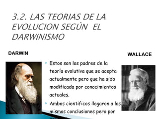 Estos son los padres de la teoría evolutiva que se acepta actualmente pero que ha sido modificada por conocimientos actuales. Ambos cientificos llegaron a las mismas conclusiones pero por separado. DARWIN WALLACE 
