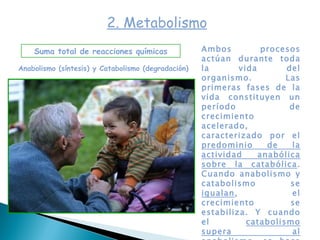 Suma total de reacciones químicas Anabolismo (síntesis) y Catabolismo (degradación) 2. Metabolismo Ambos procesos actúan durante toda la vida del organismo. Las primeras fases de la vida constituyen un período de crecimiento acelerado, caracterizado por el  predominio de la actividad anabólica sobre la catabólica . Cuando anabolismo y catabolismo se  igualan , el crecimiento se estabiliza. Y cuando el  catabolismo supera al anabolismo , se hace evidente el envejecimiento .  