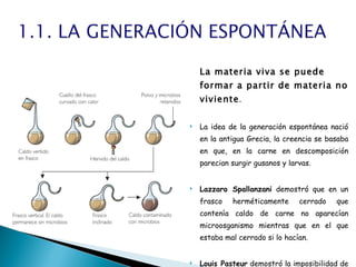 La materia viva se puede formar a partir de materia no viviente .   La idea de la generación espontánea nació en la antigua Grecia, la creencia se basaba en que, en la carne en descomposición parecian surgir gusanos y larvas.  Lazzaro Spallanzani  demostró que en un frasco herméticamente cerrado que contenía caldo de carne no aparecían microosganismo mientras que en el que estaba mal cerrado si lo hacían.  Louis Pasteur  demostró la imposibilidad de la generación espontánea de la vida. Su experimento se puede apreciar en la imagen que aparece en la izquierda. 