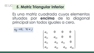 Matriz Diagonal Inferior ALGEBRA MATRICIAL SEMANA1-S2 UNIVERSIDAD .pptx