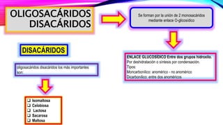 OLIGOSACÁRIDOS
DISACÁRIDOS
Se forman por la unión de 2 monosacáridos
mediante enlace O-glicosídico
ENLACE GLUCOSÍDICO Entre dos grupos hidroxilo.
Por deshidratación o síntesis por condensación.
Tipos:
Moncarbonílico: anomérico - no anomérico
Dicarbonílico: entre dos anoméricos
 Isomaltosa
 Celobiosa
 Lactosa
 Sacarosa
 Maltosa
DISACÁRIDOS
oligosacáridos disacáridos los más importantes
son:
 