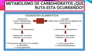 METABOLISMO DE CARBOHIDRATOS ¿QUE
RUTA ESTA OCURRIENDO?
 