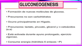 GLUCONEOGENESIS
 