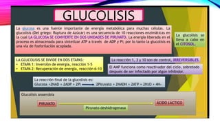 GLUCOLISIS
 