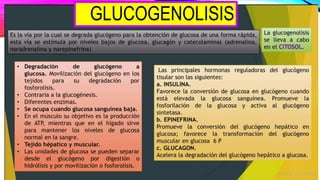 GLUCOGENOLISIS
 