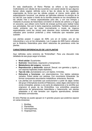 En esta clasificación, el Reino Plantae se refiere a los organismos
multicelulares con células de tipo eucariota y con pared celular (lo que algunos
llaman célula vegetal, definida como el tipo de célula de los vegetales),
organizadas de forma que las células posean al menos cierto grado de
especialización funcional. Las plantas así definidas obtienen la energía de la
luz del Sol, que captan a través de la clorofila presente en los cloroplastos de
las células más o menos especializadas para ello, y con esa energía y
mediante el proceso de fotosíntesis convierten el dióxido de carbono y el agua
en azúcares, que utilizan como fuente de energía química para realizar todas
sus actividades. Son por lo tanto organismos autótrofos. También exploran el
medio ambiente que las rodea (normalmente a través de órganos
especializados como las raíces) para absorber otros nutrientes esenciales
utilizados para construir proteínas y otras moléculas que necesitan para
subsistir.
Las plantas poseen 3 juegos de ADN, uno en el núcleo, uno en las
mitocondrias y uno en los cloroplastos. Los 3 juegos de ADN fueron utilizados
por la Botánica Sistemática para inferir relaciones de parentesco entre las
plantas.
CARACTERES DIFERENCIALES DE LAS PLANTAS
Aquí definidas como sinónimo de "Embriofitas". Para una discusión más
detallada de ese grupo seguir el enlace.
 Nivel celular: Eucariontes.
 Nutrición: fotosíntesis, respiración y transpiración.
 Metabolismo del oxígeno: necesario
 Reproducción y desarrollo: asexual. Sexual, con gametos y zigoto, y
con esporas haploides (haplo-diploides).
 Tipo de vida: pluricelulares con y sin tejidos. Inmóviles.
 Estructura y funciones: con plasmodesmos. Con tejidos celulares
variados. Pared celular con celulosa. Con movimiento intracelular. Se
forman compuestos secundarios metabólicos: antocianos, flavonas.
 Las plantas son eucariotas que evolucionaron a partir de algas verdes
del grupo Chlorophyta durante el Paleozoico, estas algas colonizaron las
zonas emergidas, gracias a una serie de adaptaciones a la xerofilia que
originaron el grupo de los Embriófitos. Los embriófitos presentan
alternancia de generaciones heterofásica y heteromorfa, son plantas
adaptadas a la vida terrestre con órganos apendiculares, también
llamados cormobiontes.
El reino Plantae se puede agrupar en 4 grandes grupos que podemos separar
en varias divisiones:
1. Briofitas.
2. Pteridofitas.
3. Gimnospermas.
4. Angiospermas.
 
