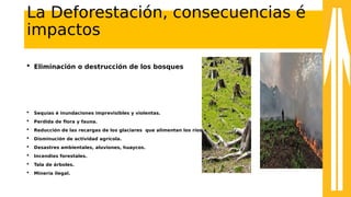 La Deforestación, consecuencias é
impactos
 Eliminación o destrucción de los bosques
 Sequías é inundaciones imprevisibles y violentas.
 Perdida de flora y fauna.
 Reducción de las recargas de los glaciares que alimentan los ríos.
 Disminución de actividad agrícola.
 Desastres ambientales, aluviones, huaycos.
 Incendios forestales.
 Tala de árboles.
 Minería ilegal.
 