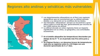 Regiones alto andinas y selváticas más vulnerables
 Los departamentos altoandinos en el Perú son regiones
geográfcas que se caracterizan por su altitud elevada
debido a su ubicación en la cordillera de los Andes.
 Son llamadas "altoandinas" porque se encuentran a gran
altura sobre el nivel del mar, generalmente por encima de
los 3,000 metros de altitud.
 La altitud elevada en estas regiones tiene un impacto
signifcativo en su clima, su geografía y sus actividades
económicas.
 En el ámbito altoandino las temperaturas descienden por
debajo de los 0 °C en el período más frío entre junio y
julio,
 Se originan lluvias y un descenso brusco de temperaturas
cada año se registran entre 6 a 10 friajes con una
duración aproximada de 3 a 7 días.
 